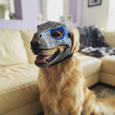 Living his best prehistoric life!